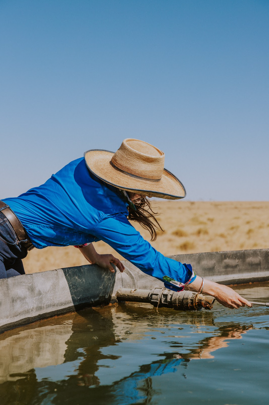 ANTOLA| Alice Full Button Shirt **Size 14**