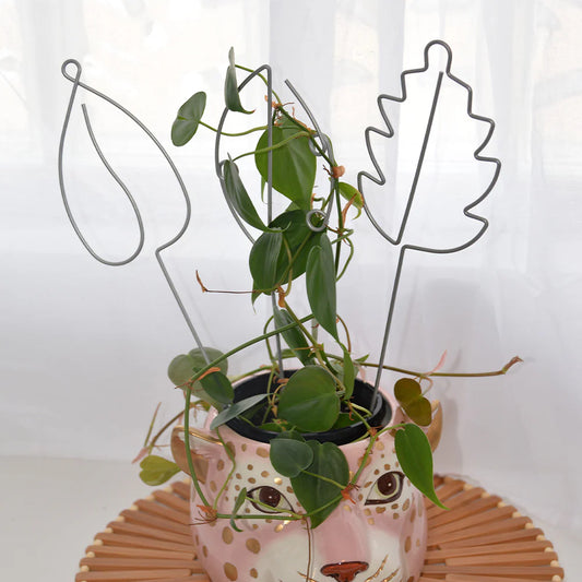 Sprout Indoor Plant Stakes - 3pc