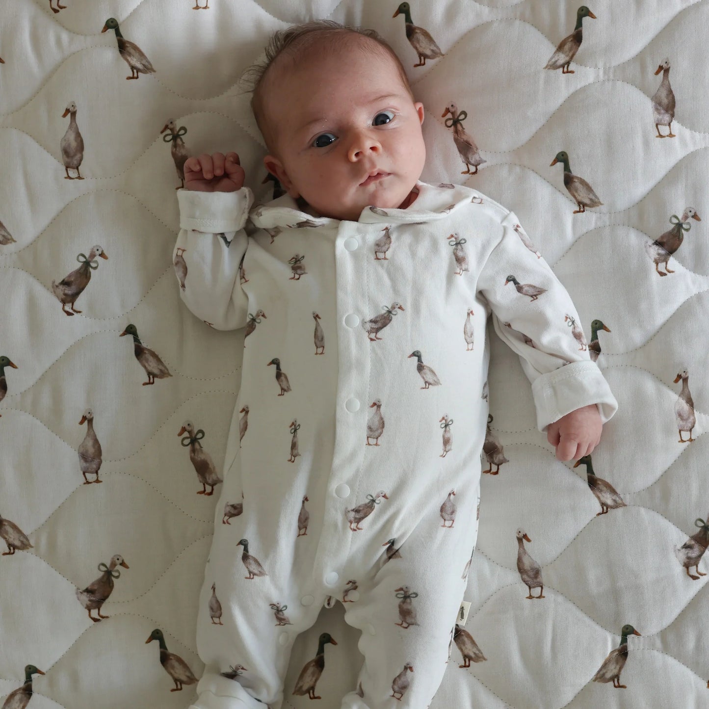 Babygrow Suit - Duck