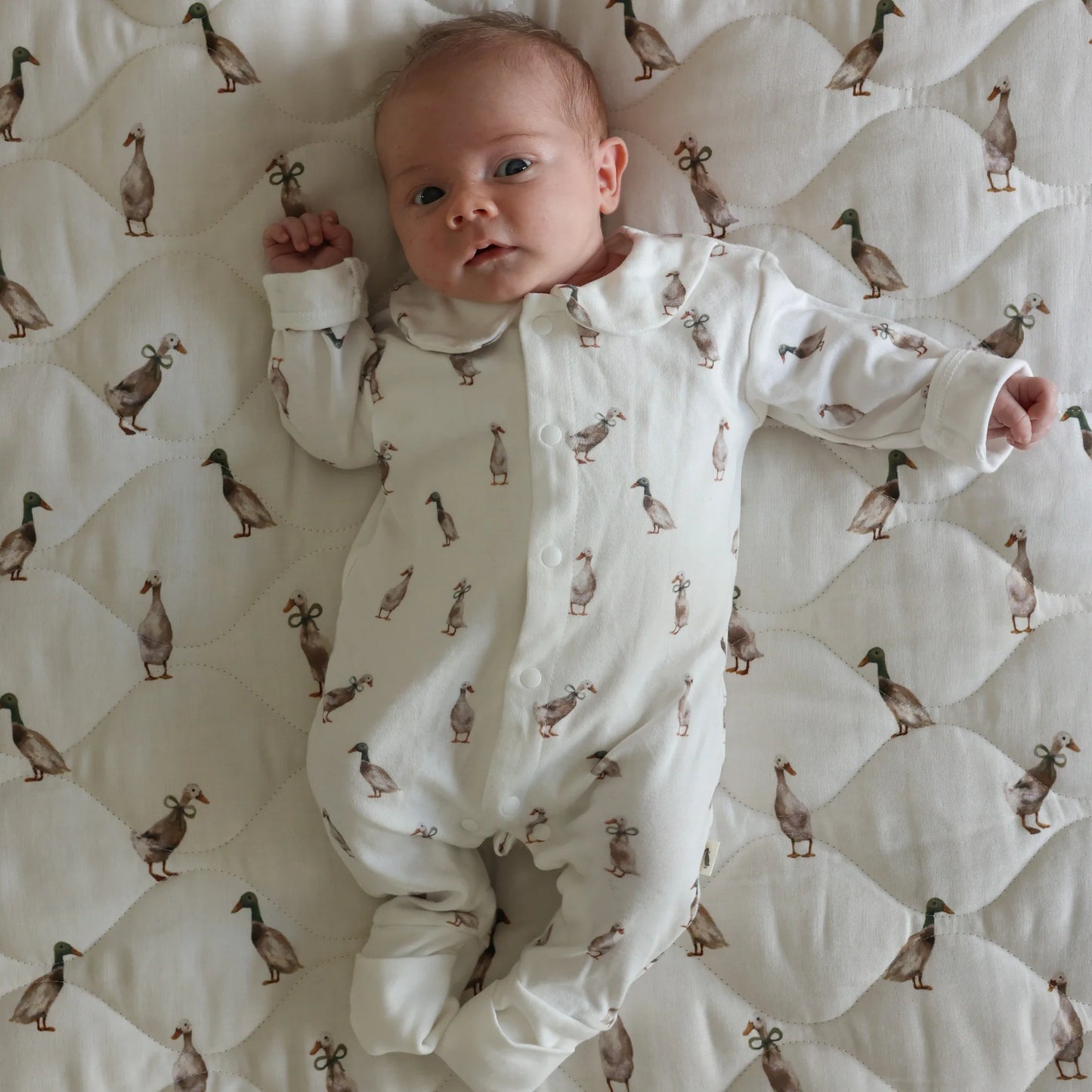 Babygrow Suit - Duck