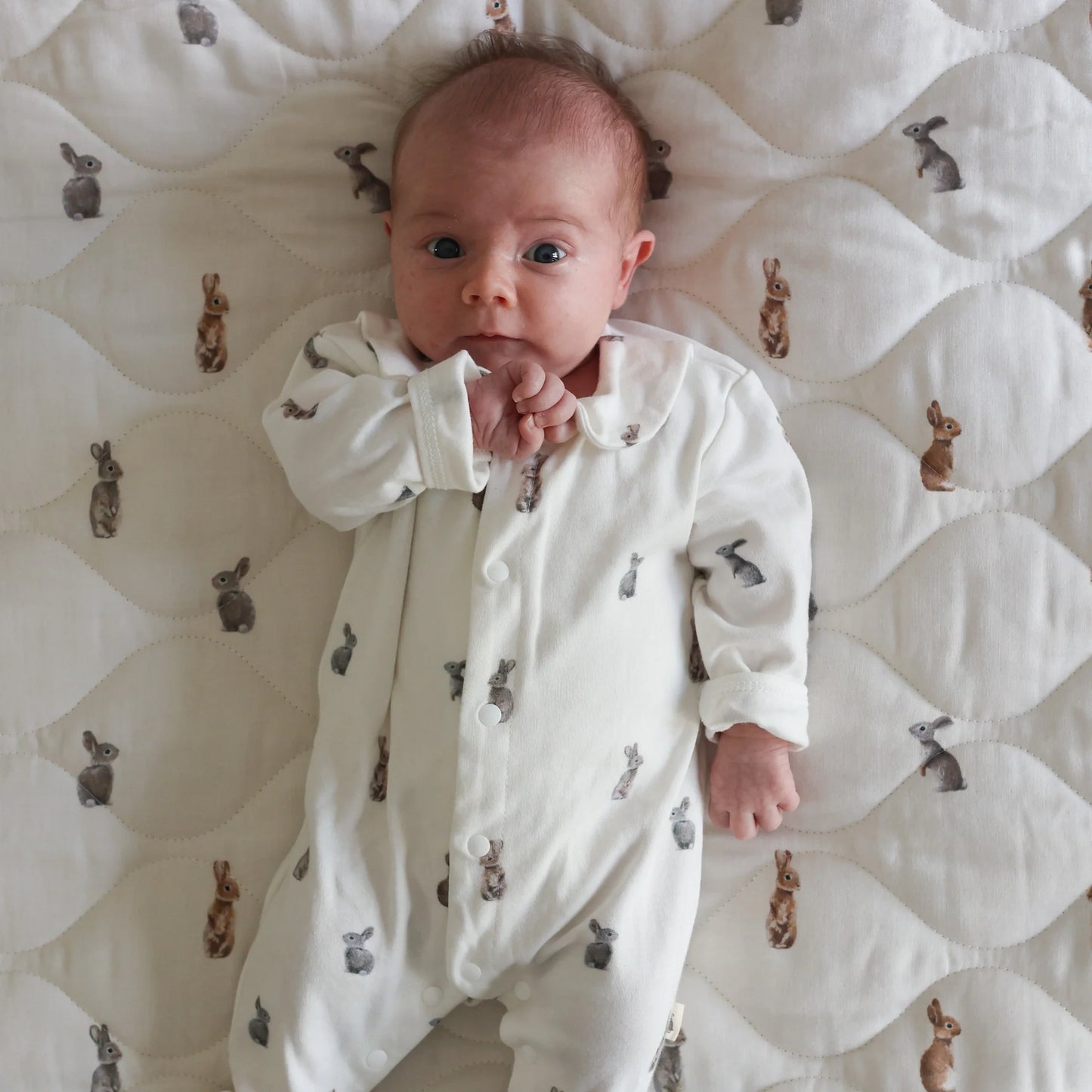 Babygrow Suit - Bunny