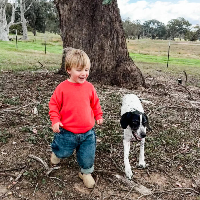 100% Australian Merino Wool Jumper - Cherrie Red