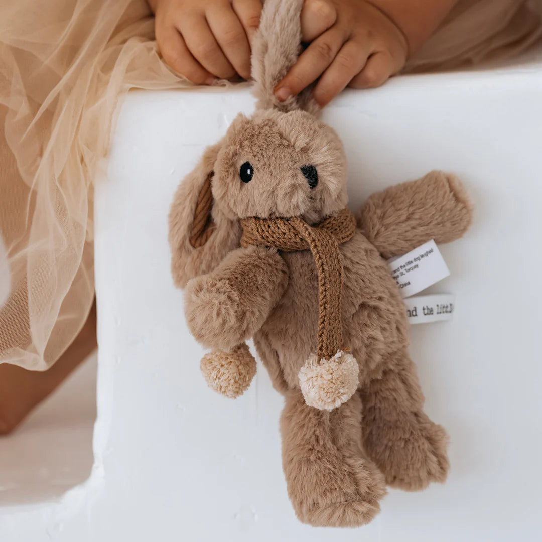 AND THE LITTLE DOG LAUGHED | Hugh rabbit -mini