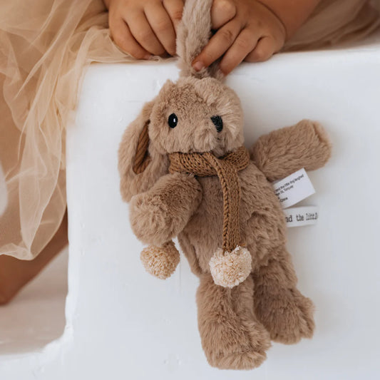 AND THE LITTLE DOG LAUGHED | Hugh rabbit -mini