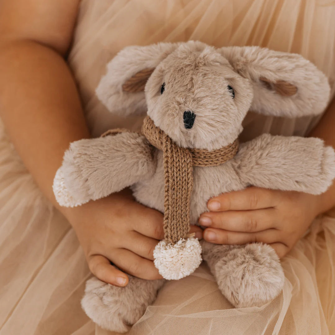 AND THE LITTLE DOG LAUGHED | Hugh rabbit -mini