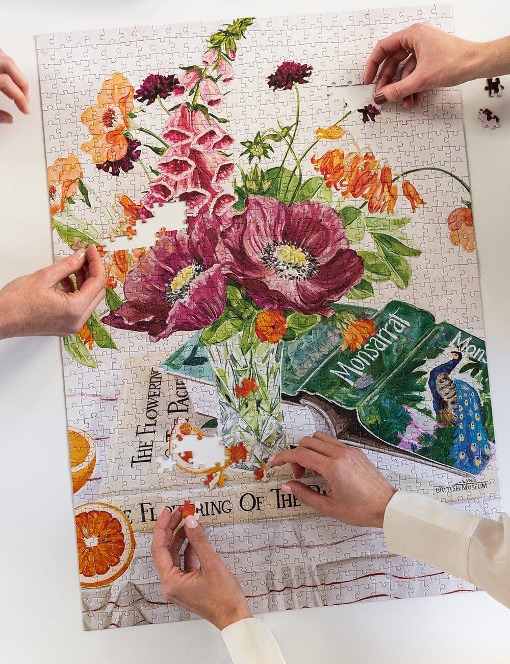 1000 Piece Puzzle | Poppies and Foxglove