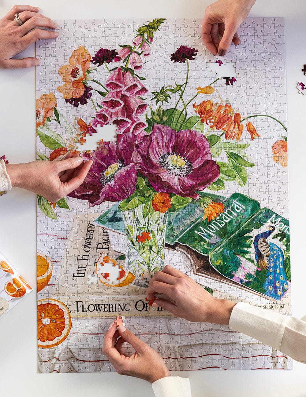 1000 Piece Puzzle | Poppies and Foxglove