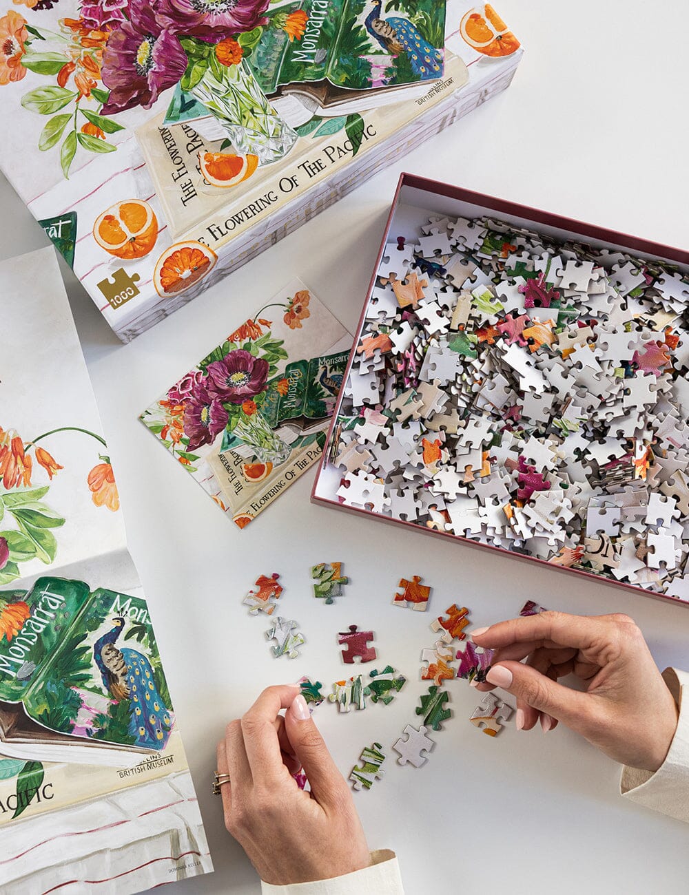 1000 Piece Puzzle | Poppies and Foxglove