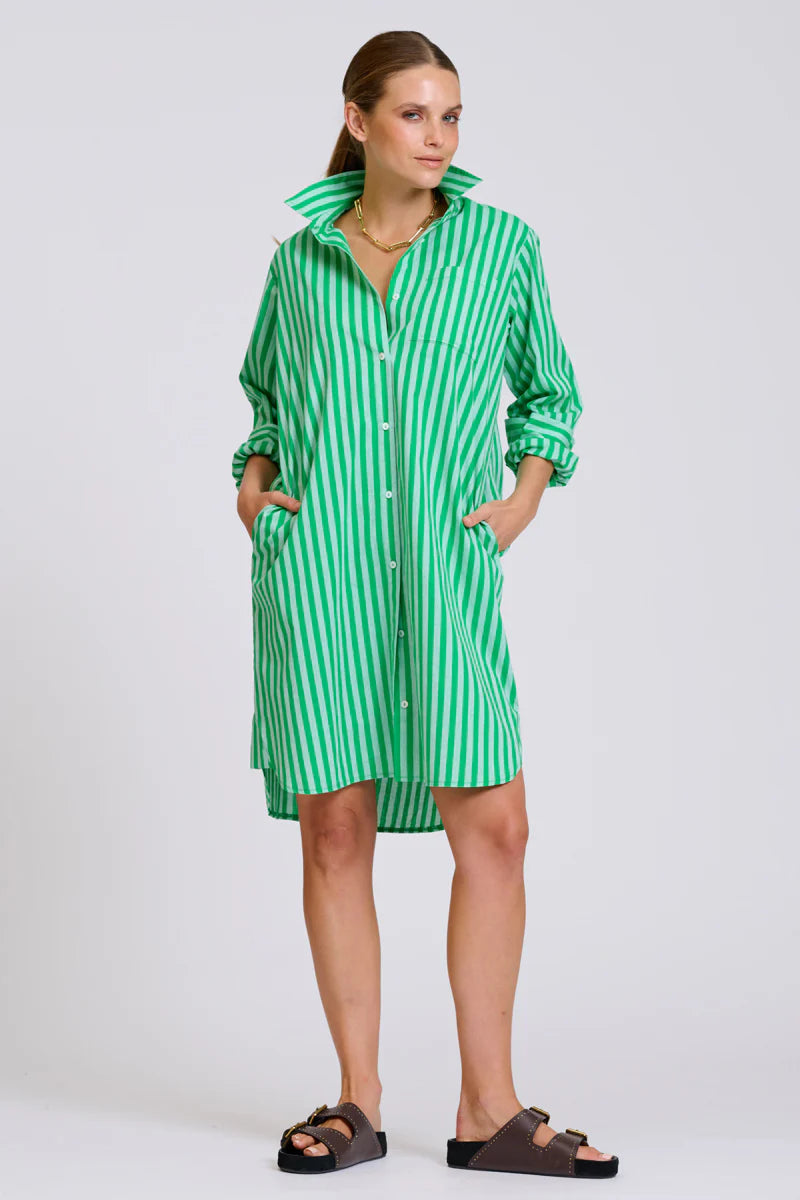 The Classic Cotton Shirt Dress - Double Green Stripe