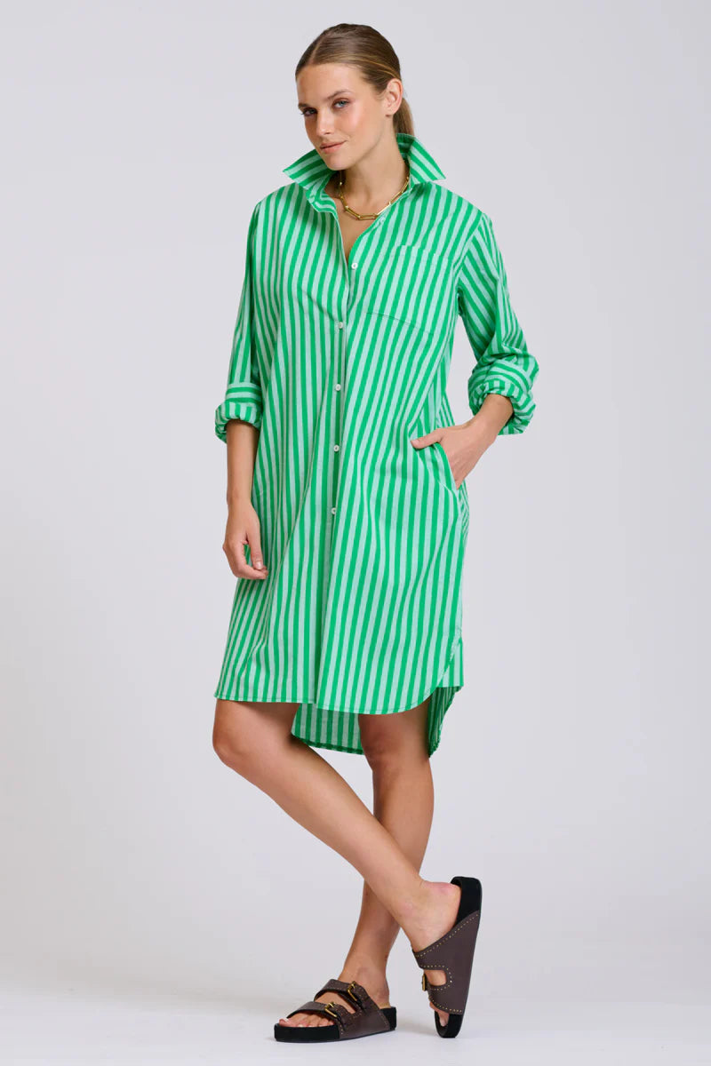 The Classic Cotton Shirt Dress - Double Green Stripe