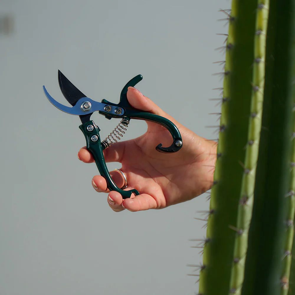 Sprout Mini Pruners