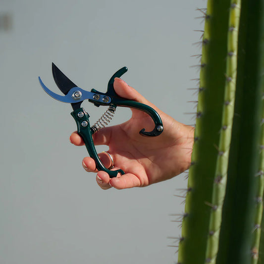 Sprout Mini Pruners